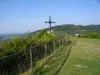Croix du Dan - Randonnées & promenades à Poligny