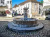 Fontaine des Salins (© J.E)