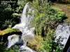 Waterfall of the Moulin du Saut (© Jean Espirat)
