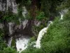 Cascade de la Billaude - Chute d'eau, parois rocheuses, arbustes et arbres