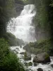 Cascades du Hérisson - Cascade de l'Éventail (chute d'eau), rochers et arbres
