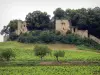 Château d'Arlay - Ruines (vestiges) de la forteresse médiévale