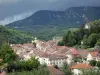 Salins-les-Bains - Clocher de l'église Saint-Anatoile, dôme de la chapelle Notre-Dame-Libératrice, maisons et bâtiments de la ville thermale, arbres et montagnes